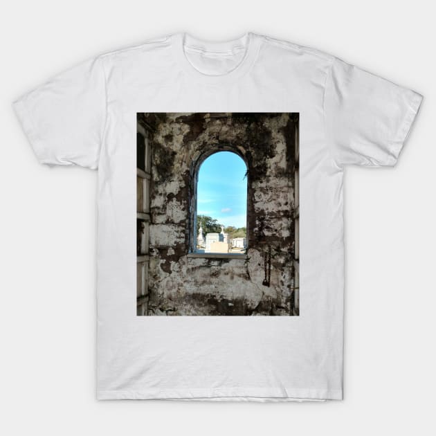 Tomb with a View T-Shirt by Loveday101